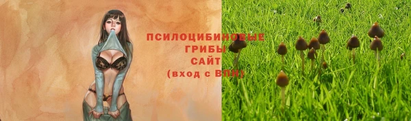 ALPHA-PVP Армянск