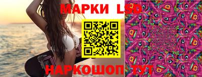 индика Владимир