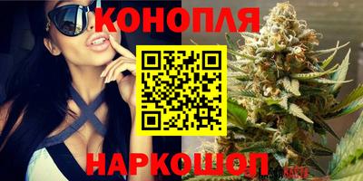 индика Владимир