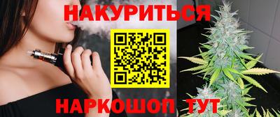 индика Владимир