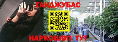 индика Владимир