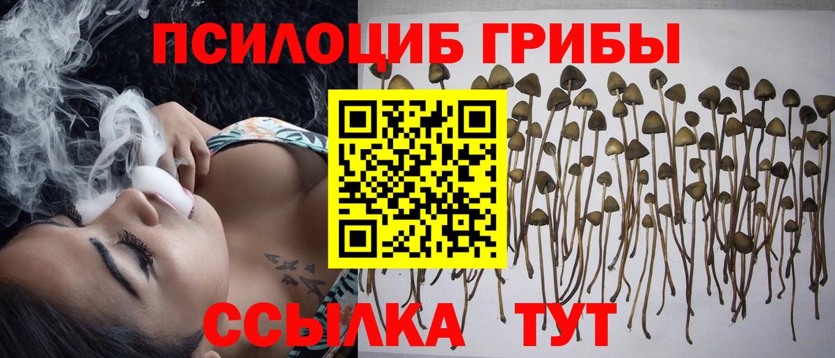 Галлюциногенные грибы мицелий  Галлюциногенные грибы Psilocybe  Вход с VPN  Невинномысск 
