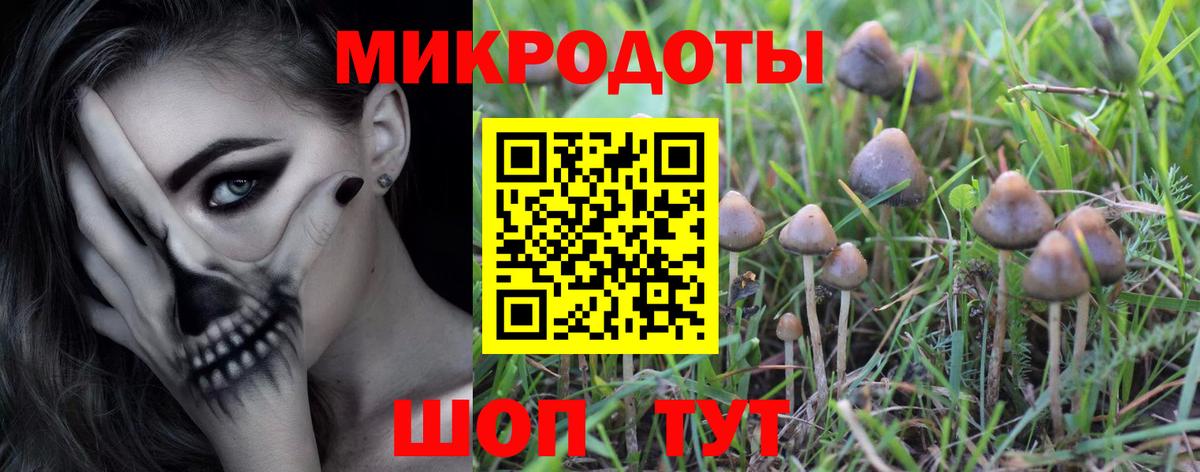 Галлюциногенные грибы Psilocybine cubensis Невинномысск