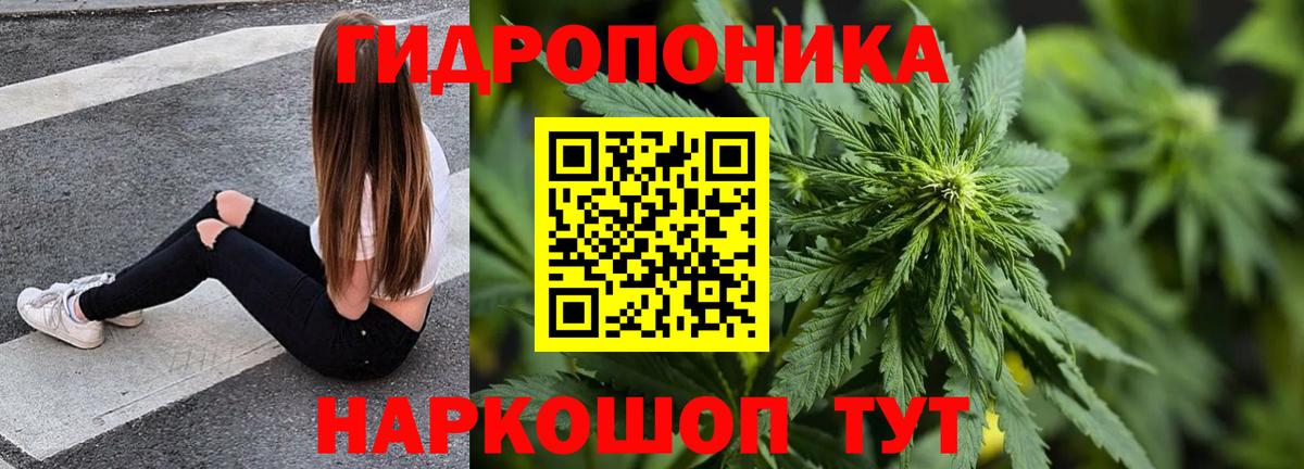 Шишки марихуана индика Невинномысск