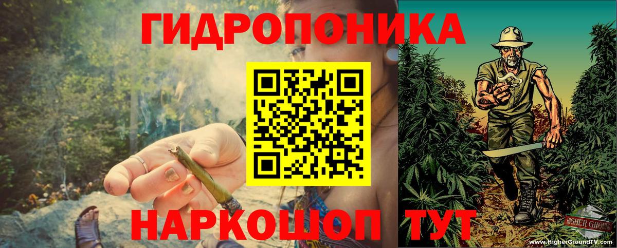 Невинномысск  Конопля семена  Вход с VPN  Конопля гибрид  Конопля LSD WEED 